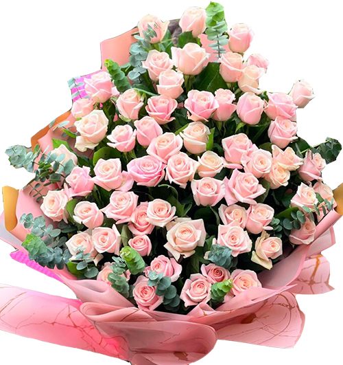 48 Hồng Dâu Tặng Mẹ 1 48 hong dau tang me