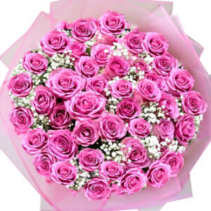 48 Hồng Tím Tặng Mẹ