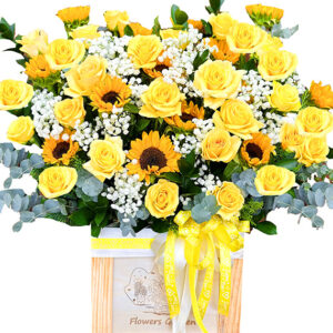 Ánh Sáng Đời Anh