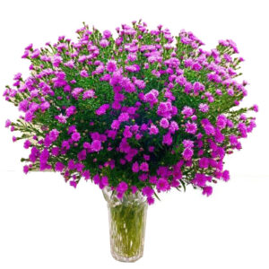 Bình Hoa Chia Buồn 41