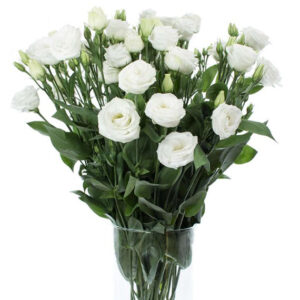 Bình Hoa Chia Buồn 46