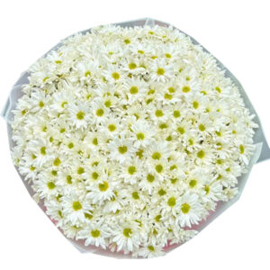 Bó Hoa Chia Buồn 44