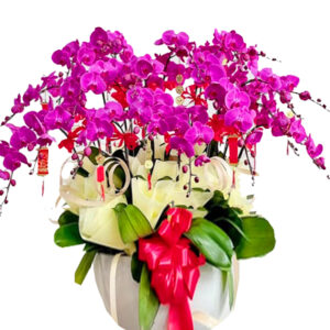 Hoa Khai Trương Lan Hồ Điệp 39