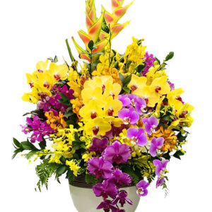 Hoa Ngày Của Mẹ 38