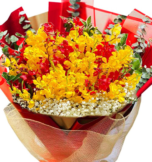 Hoa Ngày Của Mẹ 09 1 Hoa Ngay Cua me 09 1