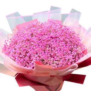 Hoa Ngày Của Mẹ 14