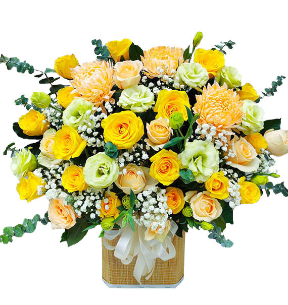 Bình Minh Rạng Rỡ 1 binh minh 1