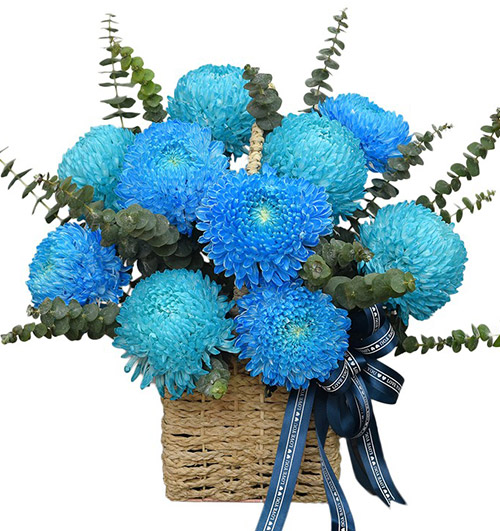Giỏ Hoa Khai Trương 19