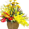 hoa dac biet ngay 8 thang 3 16