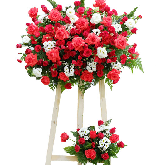 Hoa Khai Trương 26