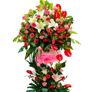 Hoa Khai Trương 36