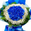 hoa ky niem 15