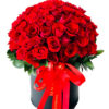 hoa ky niem 23