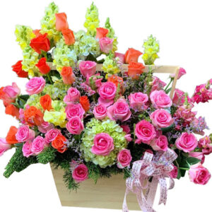 Hoa Ngày 20 Tháng 11 01