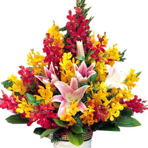 Hoa Ngày 20 Tháng 11 03