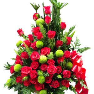 Hoa Ngày 20 Tháng 11 04