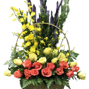 Hoa Ngày 20 Tháng 11 08