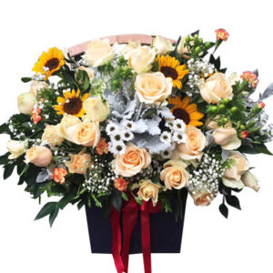 Hoa Ngày 20 Tháng 11 10