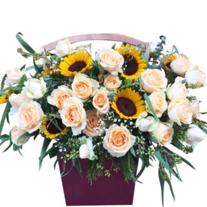 Hoa Ngày 20 Tháng 11 12