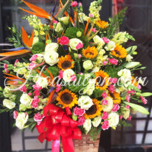 Hoa Ngày 20 Tháng 11 20