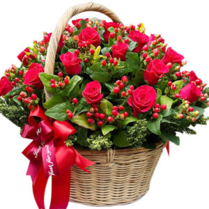 Hoa Ngày 20 Tháng 11 23