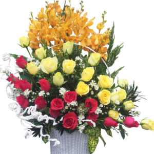 Hoa Ngày 20 Tháng 11 24