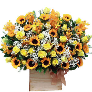 Hoa Ngày 20 Tháng 11 25