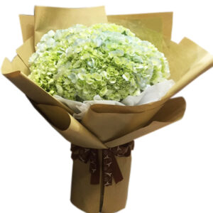 Hoa Ngày 20 Tháng 11 29