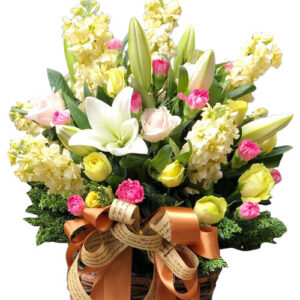 Hoa Ngày 20 Tháng 11 33