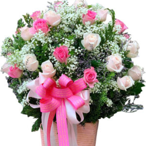 Hoa Ngày 20 Tháng 11 34