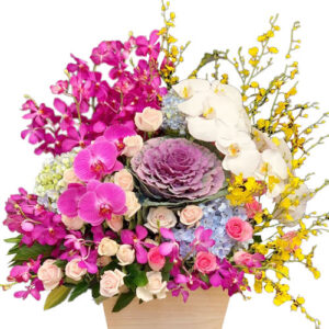 Hoa Ngày 20 Tháng 11 37