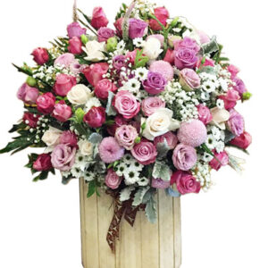 Hoa Ngày 20 Tháng 11 42