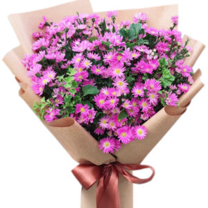 Hoa Ngày 20 Tháng 11 48