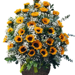 Hoa Ngày 8 Tháng 3 20