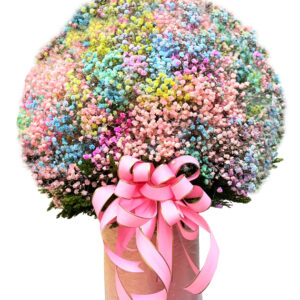 Hoa Ngày 8 Tháng 3 22