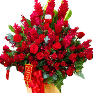 Hoa Tết 01