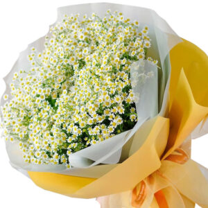 Hoa Tốt Nghiệp 21