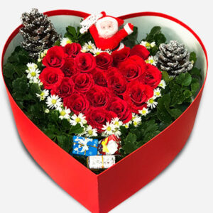 Hoa Tươi Giáng Sinh 27