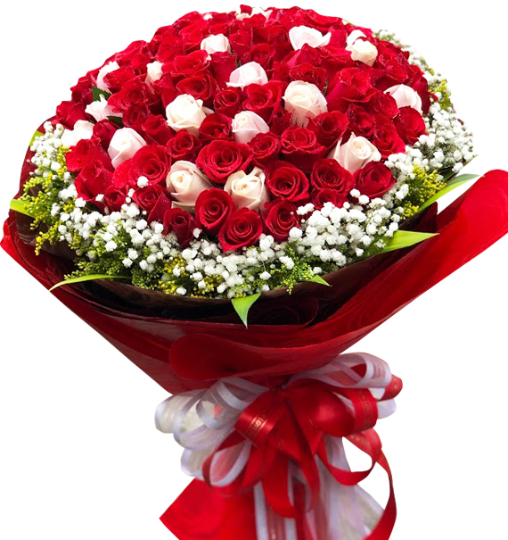 Hoa Valentine 04 1 hoa valentine 04