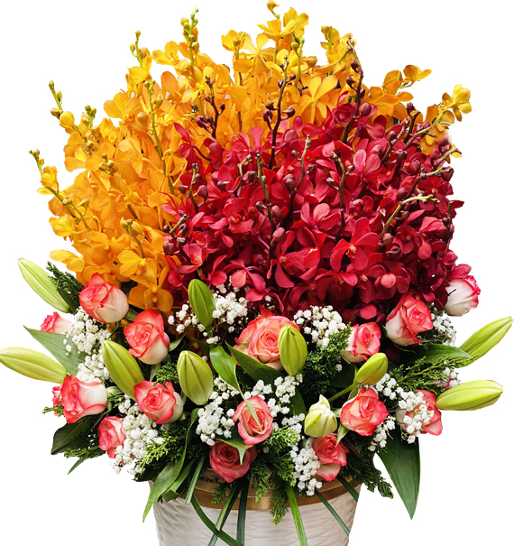 Hoa Văn Phòng 03 1 hoa van phong 03
