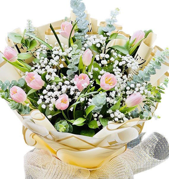 Hoa Xin Lỗi 02 1 hoa xin loi 02