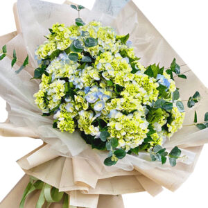 Hoa Xin Lỗi 06