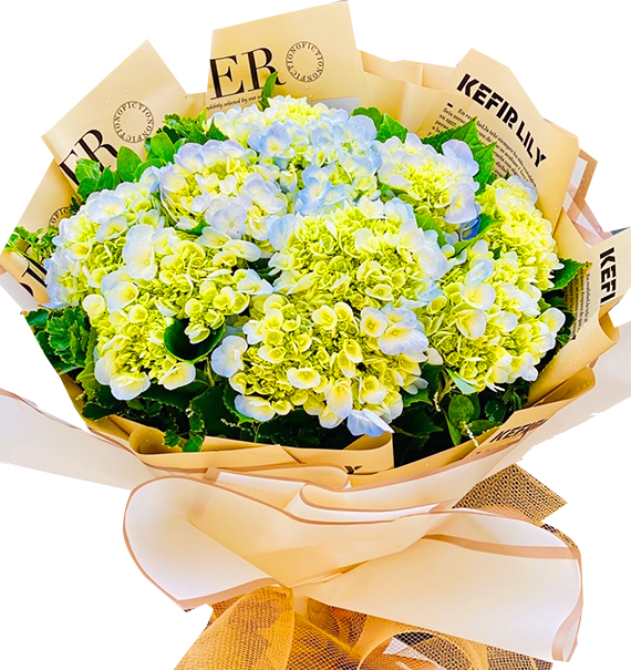 Hoa Xin Lỗi 07 1 hoa xin loi 07
