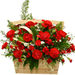 Hoa Xin Lỗi 13