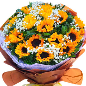 Hoa Xin Lỗi 15