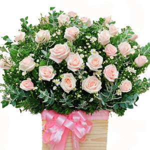 Hoa Xin Lỗi 20