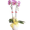 lan ho diep hong 03