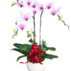 lan ho diep hong 05