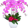 lan ho diep hong 12