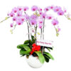 lan ho diep khai truong 07